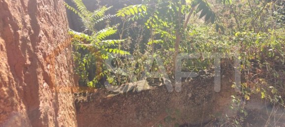 Casa T8 em Pinhel, Portugal N.º 79684 49