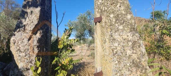 Casa T8 em Pinhel, Portugal N.º 79684 40