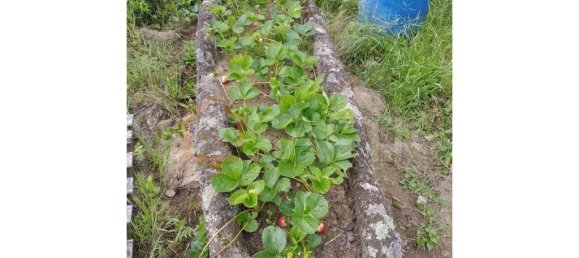 Casa T8 em Pinhel, Portugal N.º 79684 24