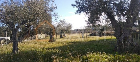 Casa T8 em Pinhel, Portugal N.º 79684 15