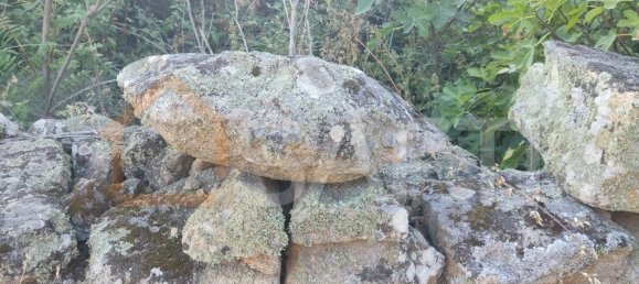 Casa T8 em Pinhel, Portugal N.º 79684 39