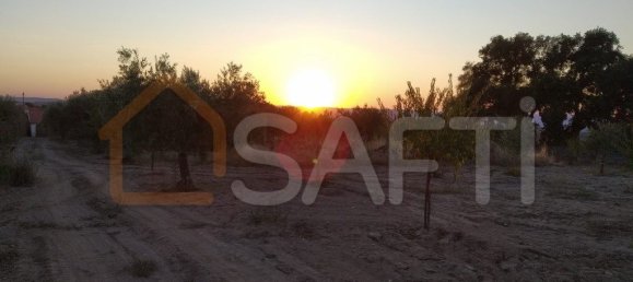 Casa T8 em Pinhel, Portugal N.º 79684 25