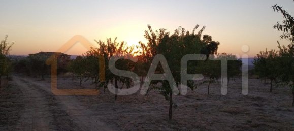 Casa T8 em Pinhel, Portugal N.º 79684 22