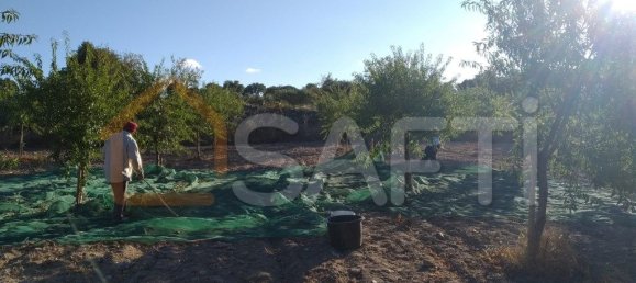 Casa T8 em Pinhel, Portugal N.º 79684 21