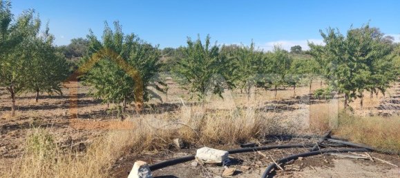 Casa T8 em Pinhel, Portugal N.º 79684 45