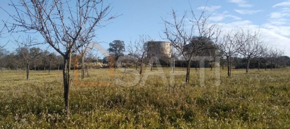 Casa T8 em Pinhel, Portugal N.º 79684 18