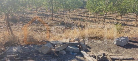 Casa T8 em Pinhel, Portugal N.º 79684 46