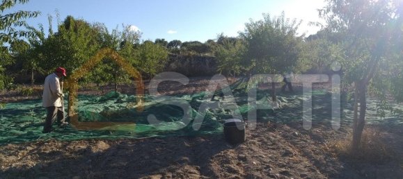 Casa T8 em Pinhel, Portugal N.º 79684 23