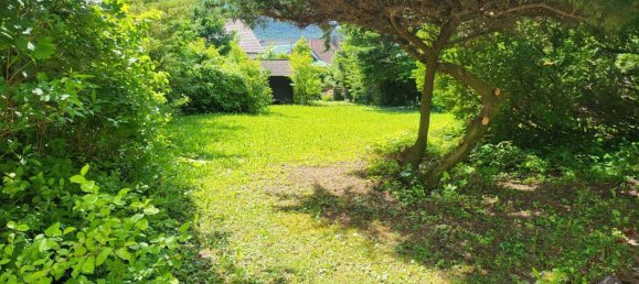 3غرفة بنغالو في Winzendorf-Muthmannsdorf, Austria رقم 138814 19