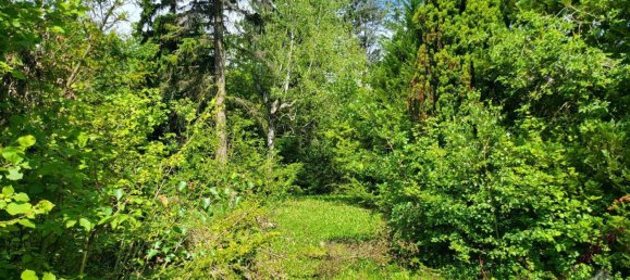 3غرفة بنغالو في Winzendorf-Muthmannsdorf, Austria رقم 138814 15