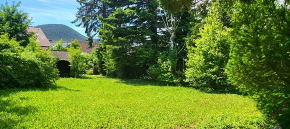 3غرفة بنغالو في Winzendorf-Muthmannsdorf, Austria رقم 138814 18