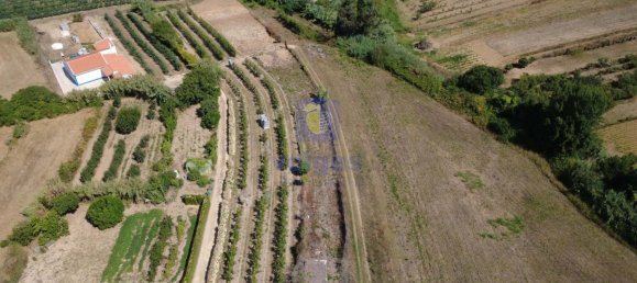 3 Schlafzimmer Villa in Obidos, Portugal, Nr. 254073 13