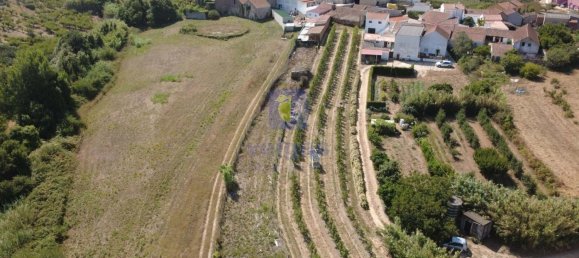 3 Schlafzimmer Villa in Obidos, Portugal, Nr. 254073 8