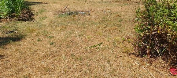 3 bedrooms House in Lamporecchio, Italy No. 266688 27