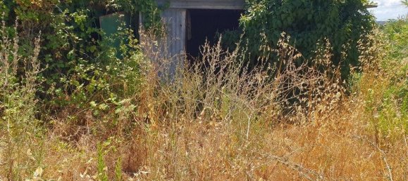 3 bedrooms House in Lamporecchio, Italy No. 266688 33