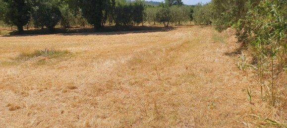 3 bedrooms House in Lamporecchio, Italy No. 266688 26