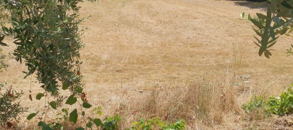 3 bedrooms House in Lamporecchio, Italy No. 266688 29