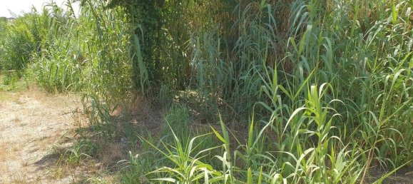 3 bedrooms House in Lamporecchio, Italy No. 266688 30