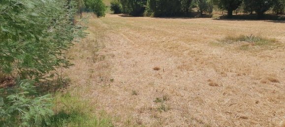 3 bedrooms House in Lamporecchio, Italy No. 266688 25