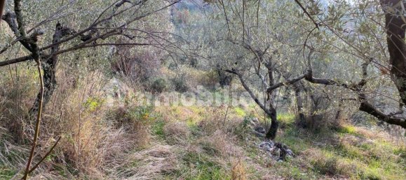 Земельный участок 3950м² в Казапрота, Италия № 202254 11