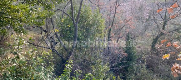 Земельный участок 3950м² в Казапрота, Италия № 202254 23