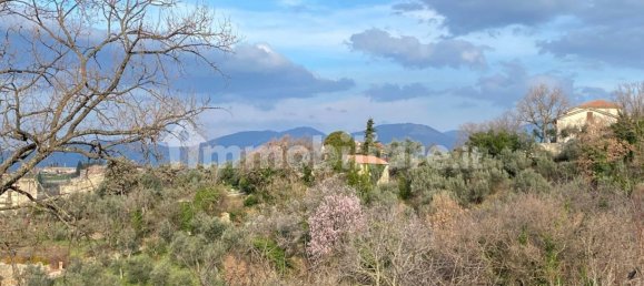 Земельный участок 3950м² в Казапрота, Италия № 202254 5