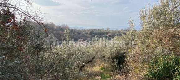 Земельный участок 3950м² в Казапрота, Италия № 202254 6