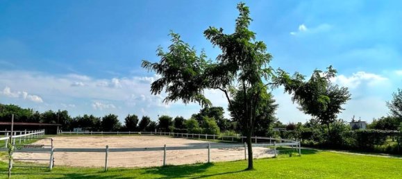 5-Zimmer Haus in Travagliato, Italy, Nr. 89061 3