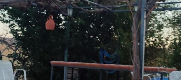 5 bedrooms House in Guadalajara, Spain No. 163509 6