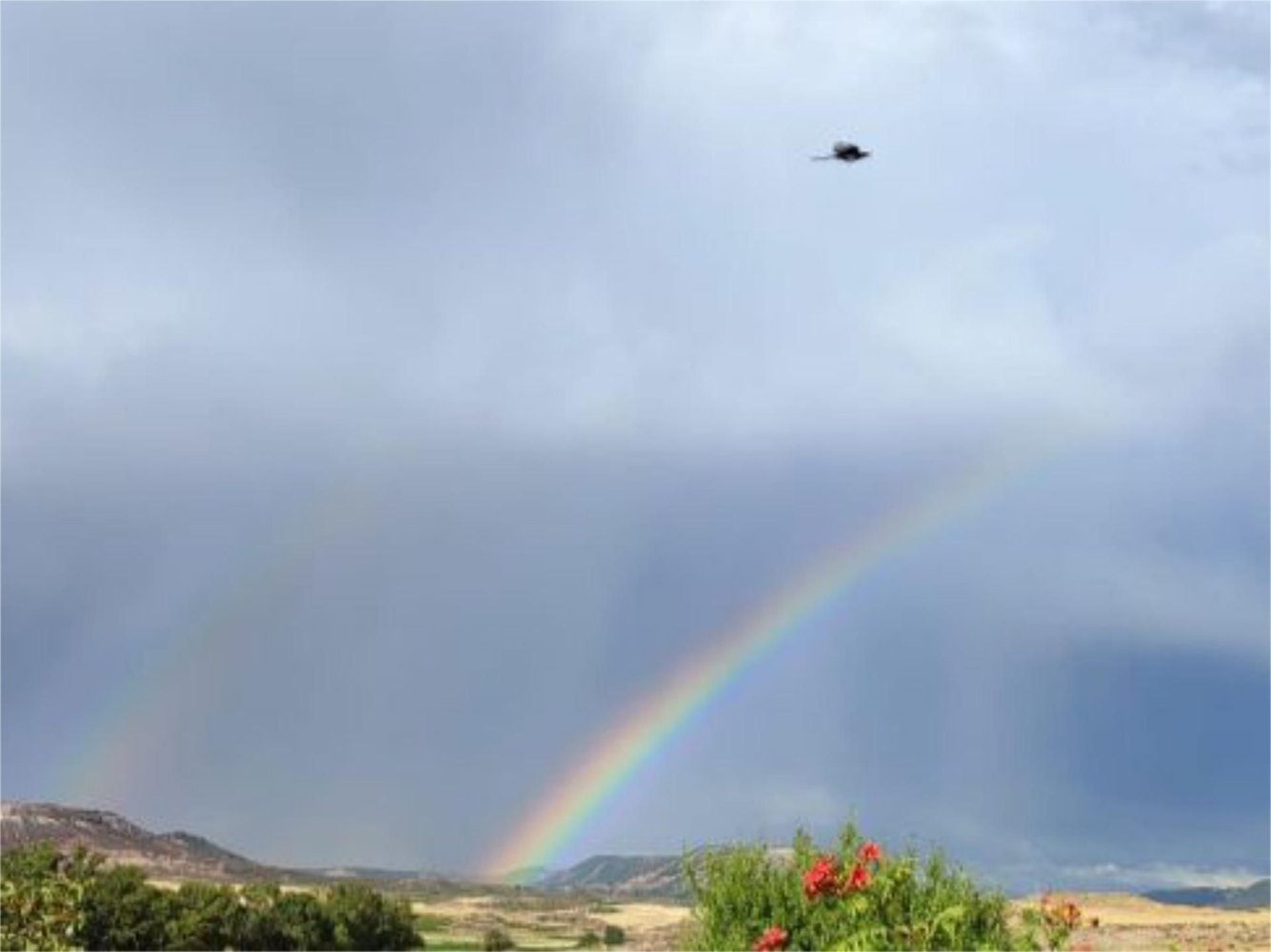 5 bedrooms House in Guadalajara, Spain No. 163509