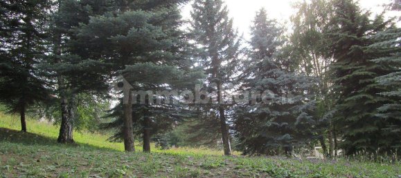 1 bedroom Apartment in Sauze d'Oulx, Italy No. 89585 11