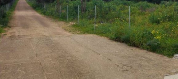 Terrain à Olbia, Italy 16940m² No. 374737 3