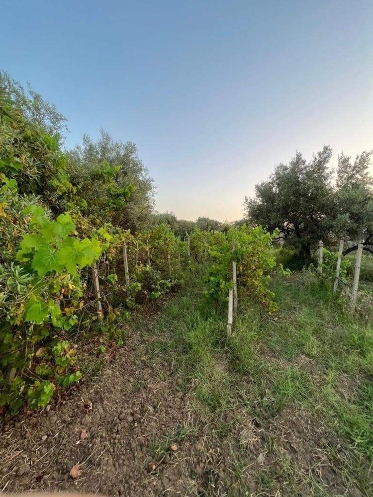 Grundstück in Venetico, Italy 3140m², Nr. 87281