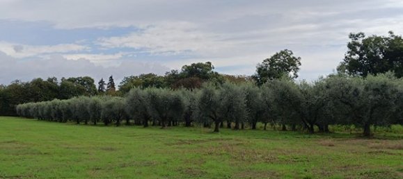 Villa de 13 divisões em Cave, Italy N.º 84333 5