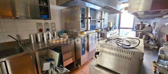 5غرفة عقار تجاري في Luserna San Giovanni, Italy رقم 297995 19