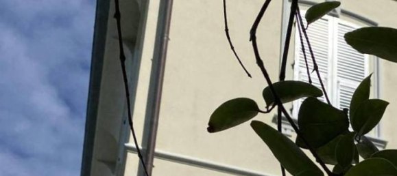 4 rooms Apartment in Zoagli, Italy No. 23593 34