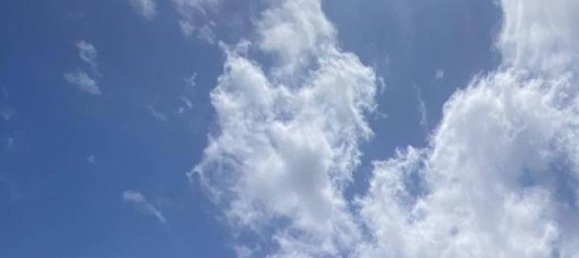 4 rooms Apartment in Zoagli, Italy No. 23593 28