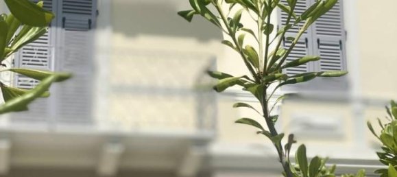 4 rooms Apartment in Zoagli, Italy No. 23593 32