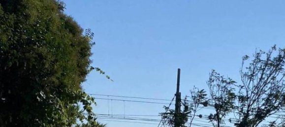 4 rooms Apartment in Zoagli, Italy No. 23593 11