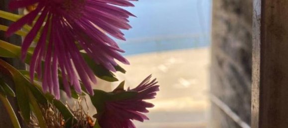 4 rooms Apartment in Zoagli, Italy No. 23593 13