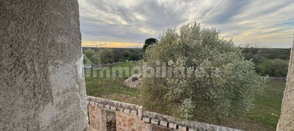 10 Schlafzimmer Haus in Polignano a Mare, Italy, Nr. 31238 23