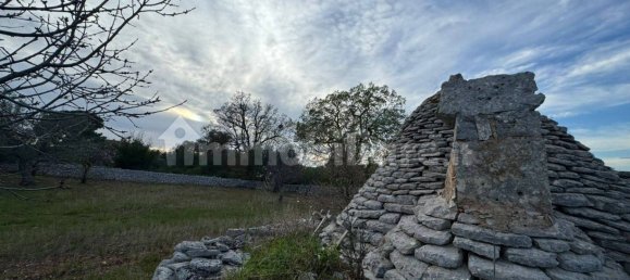 10 Schlafzimmer Haus in Polignano a Mare, Italy, Nr. 31238 31
