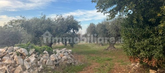 10 Schlafzimmer Haus in Polignano a Mare, Italy, Nr. 31238 33