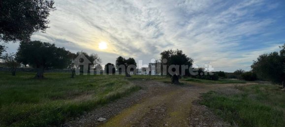 10 Schlafzimmer Haus in Polignano a Mare, Italy, Nr. 31238 48