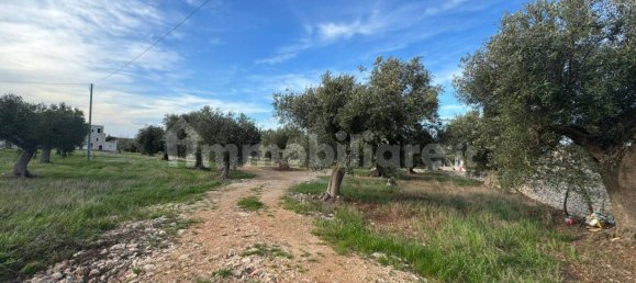 10 Schlafzimmer Haus in Polignano a Mare, Italy, Nr. 31238 49