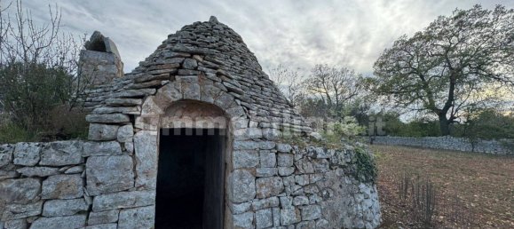 10 Schlafzimmer Haus in Polignano a Mare, Italy, Nr. 31238 29