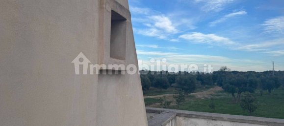 10 Schlafzimmer Haus in Polignano a Mare, Italy, Nr. 31238 9