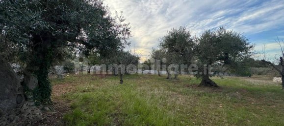 10 Schlafzimmer Haus in Polignano a Mare, Italy, Nr. 31238 32