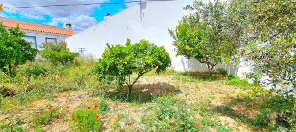 3 غرف نوم منزل في Castro Verde, Portugal رقم 54435 16