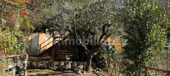 1 bedroom Villa in Trevignano Romano, Italy No. 100525 6